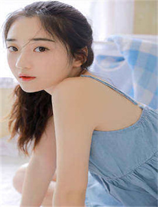 消防犬
